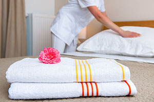 inhouse cleaning